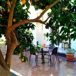 Sunny Orange Garden In Lisbon